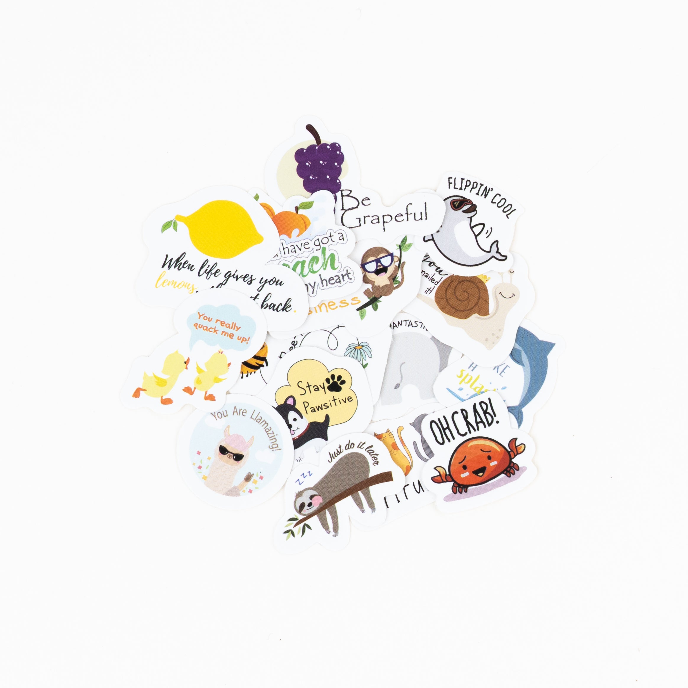 Pun Fun - Sticker Pack – Factor Notes